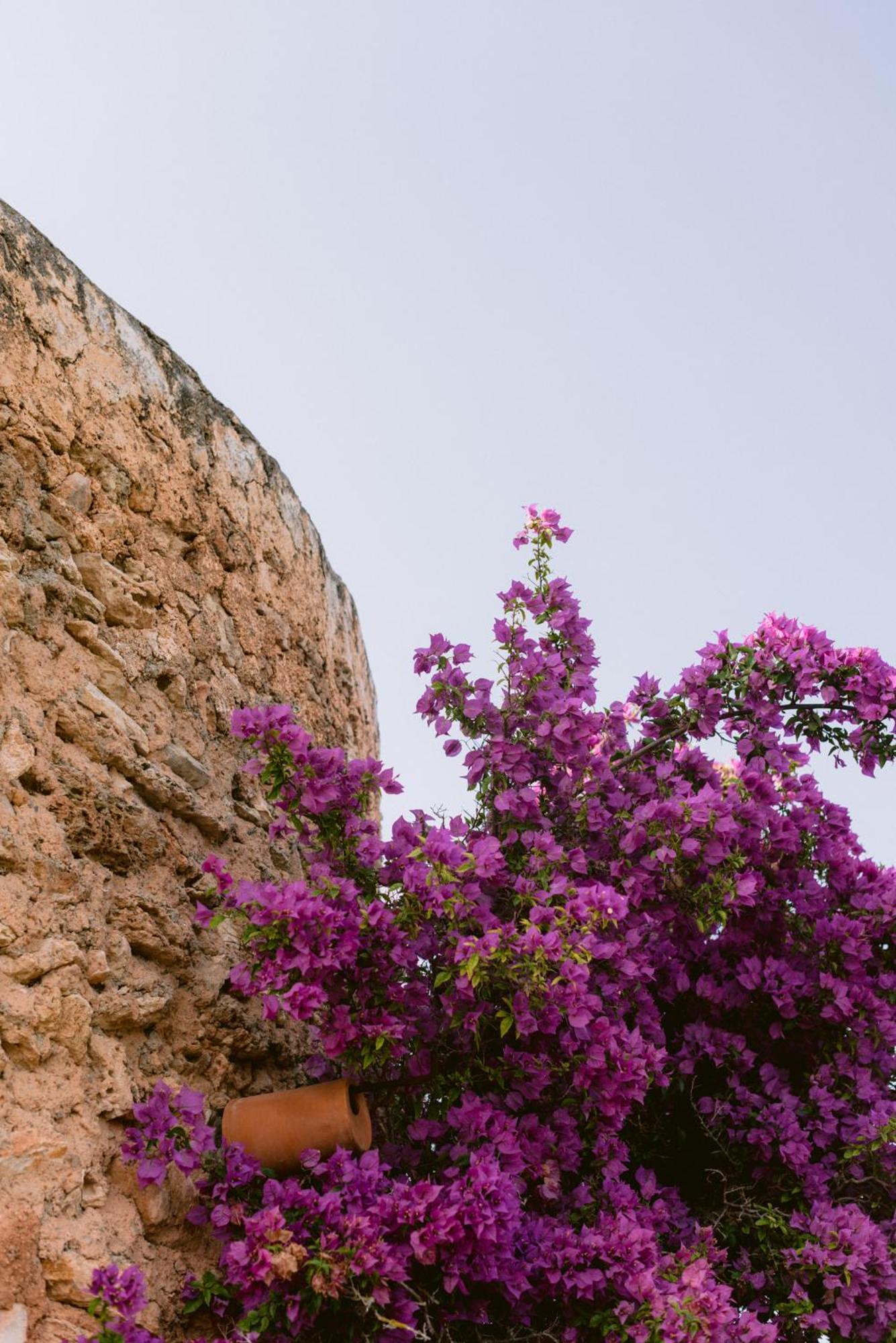 Can Quince de Balafia - Turismo de Interior Sant Llorenc de Balafia Exterior foto